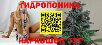 круглые Прокопьевск